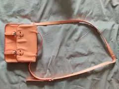 Item thumbnail for item 3c7ca4c4-715d-4f9f-8256-3a2ffe88a1be