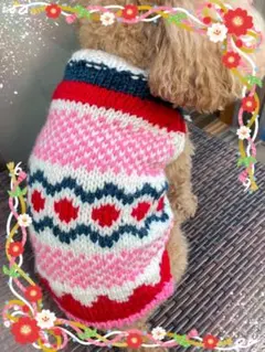 Item thumbnail for item a21e62ab-f2dd-4505-910b-784f7e50e269