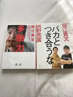 堀江貴文 ビジネス書 2冊セット