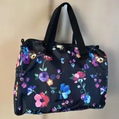 Item thumbnail for item 0d2588fa-7242-4650-a6f4-4d12c719ffd5