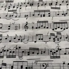 タイムレストレジャー生地✩.*˚音符✩.*˚楽譜✩.*˚USAコットン