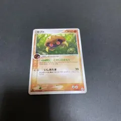 ポケモンカードゲーム カブト 1ed まぼろしの森