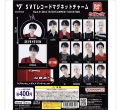 seventeen セブチ　レコードマグネットチャーム　ホシ　ディノ　THE8