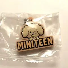 MINITEEN ぷっくりめじるしアクセサリー ドギョム ドア