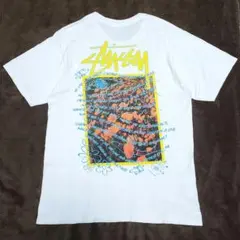 STUSSY Super Bloom Tee ステューシー Tシャツ 白 OLD