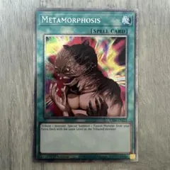 Item thumbnail for item f849e120-172a-48e6-a597-63ea80258483