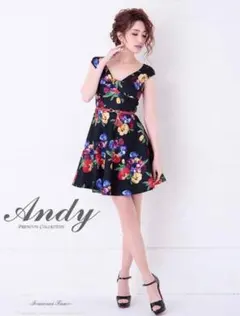 Andyレトロフラワープリントベルト付きAラインミニドレス[AN-OK2096]