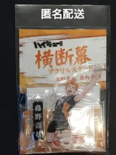 ハイキュー!!　横断幕　アクリルスタンド　日向翔陽　原作画