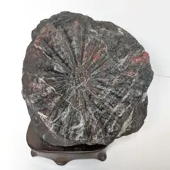 Item thumbnail for item 3b93f4b6-a15b-4745-b3d8-58856702c929