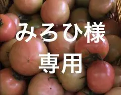 みろひ様　専用