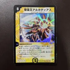 2025年最新】アルカディアスの人気アイテム - メルカリ