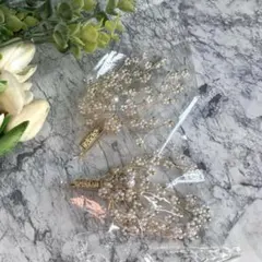 Item thumbnail for item 0768ef6c-5cc5-4e5b-9e53-bc7c6f1cc42a