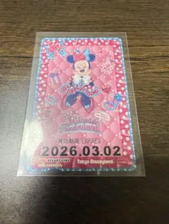 限定】リゾラ切符 東京ディズニーリゾート ミニーマウス フリーパス