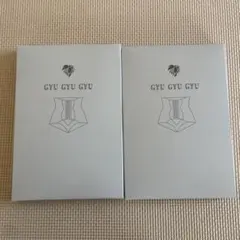 【新品未使用】Gyu Gyu Gyu 骨盤ガードル Lサイズ2枚セット