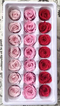 ふぁる SW関連3個で1割引プロフ必読様　6点 まとめ商品おまとめ割引-500