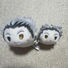 ハイキュー　もちマス　木兎光太郎