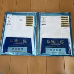 GUNZE 快適工房 Lサイズ インナー 2枚セット