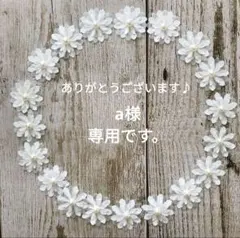 a様専用となります