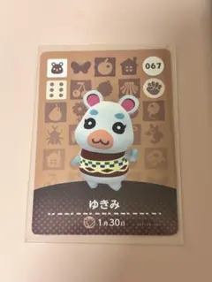 あつ森　amiiboカード　ゆきみ