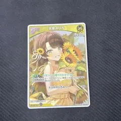 大空スバル プロモ ホロカ p