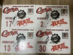 Item thumbnail for item 3cc30ce9-390d-4231-9e6c-37a72c0188a1