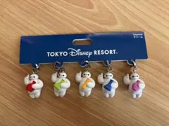 東京ディズニーリゾート ベイマックス チャーム 5種セット