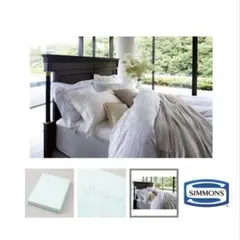 Item thumbnail for item d9aba9d3-2d05-4d10-bcb7-6916b760afe2