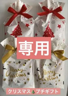 【ＳＩＺＵＫＡ様専用】クリスマスプチギフト4袋☆お菓子5個入り