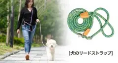 Item thumbnail for item 78a096ff-4690-45ba-8cc9-16141956bf62