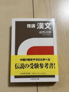 精講 漢文