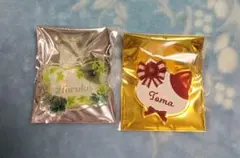 アイナナ ナンジャ 悠 トウマ　ネームバッジ