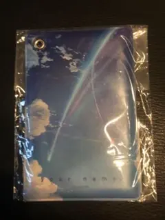 Item thumbnail for item 335adcfe-0655-4492-9e60-50298a6da5a7