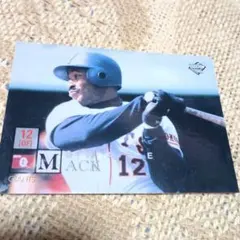 Item thumbnail for item 87b5484d-84ab-49d6-b2df-bb8bf36be1b9