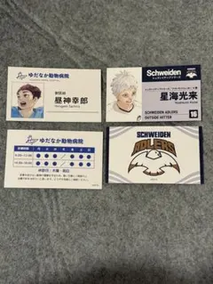 ハイキュー!! 名刺カードコレクション ファンパーク　4枚セット　昼神　星海