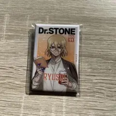 Dr.STONE 七海龍水 くじ引き堂 読書の秋 缶バッジ - メルカリ
