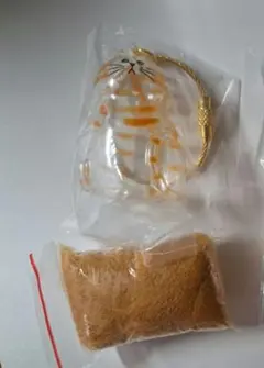 うちの子のけだまだま 茶トラ 正規品