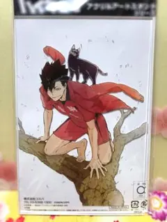 【未開封品】ハイキュー!! アクリルアートスタンド アクスタ 黒尾鉄朗