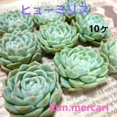 crea様 リクエスト 2点 まとめ商品