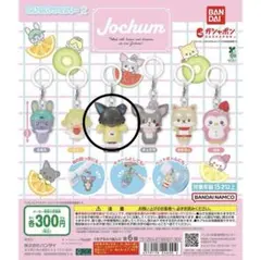2026年最新】jochum ピーハイの人気アイテム - メルカリ