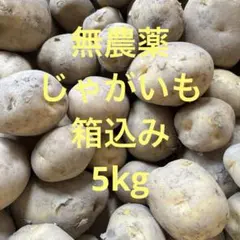 무농약 감자 5kg 박스형