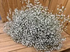 noopy様 リクエスト 2点 まとめ商品