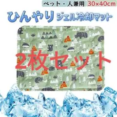 Item thumbnail for item 3c5b4200-7bc2-4392-a46d-d7f35f39009c