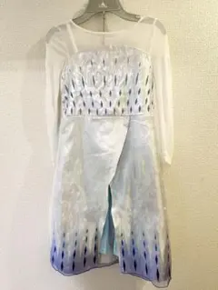 アナと雪の女王　エルサドレス