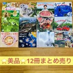 美品【中古絵本図鑑まとめ売り】知育絵本サンチャイルド幼稚園年長絵本5歳6歳