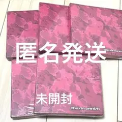 ENHYPEN THE SIN:VANISH JAKE ver