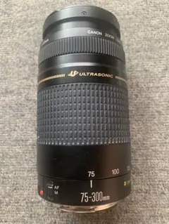 極上品☆フード付☆迫力の300㎜☆キャノン Canon EF75-300㎜ 極上品☆フード付☆迫力の300㎜☆キャノン Canon EF75-300