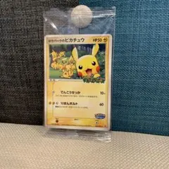 2026年最新】ポケパークのピカチュウ 未開封の人気アイテム - メルカリ