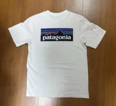 patagonia パタゴニア Tシャツ サイズS　ホワイト　ロゴポケット付