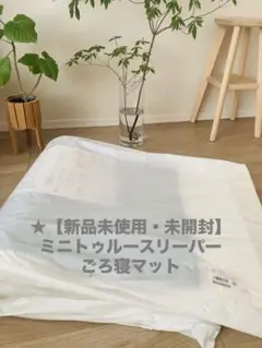 ★【新品・未開封】ミニトゥルースリーパー　ごろ寝マット