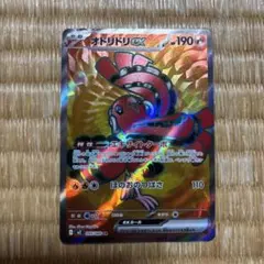 ヨ*☆様 ポケモンカード　オドリドリex